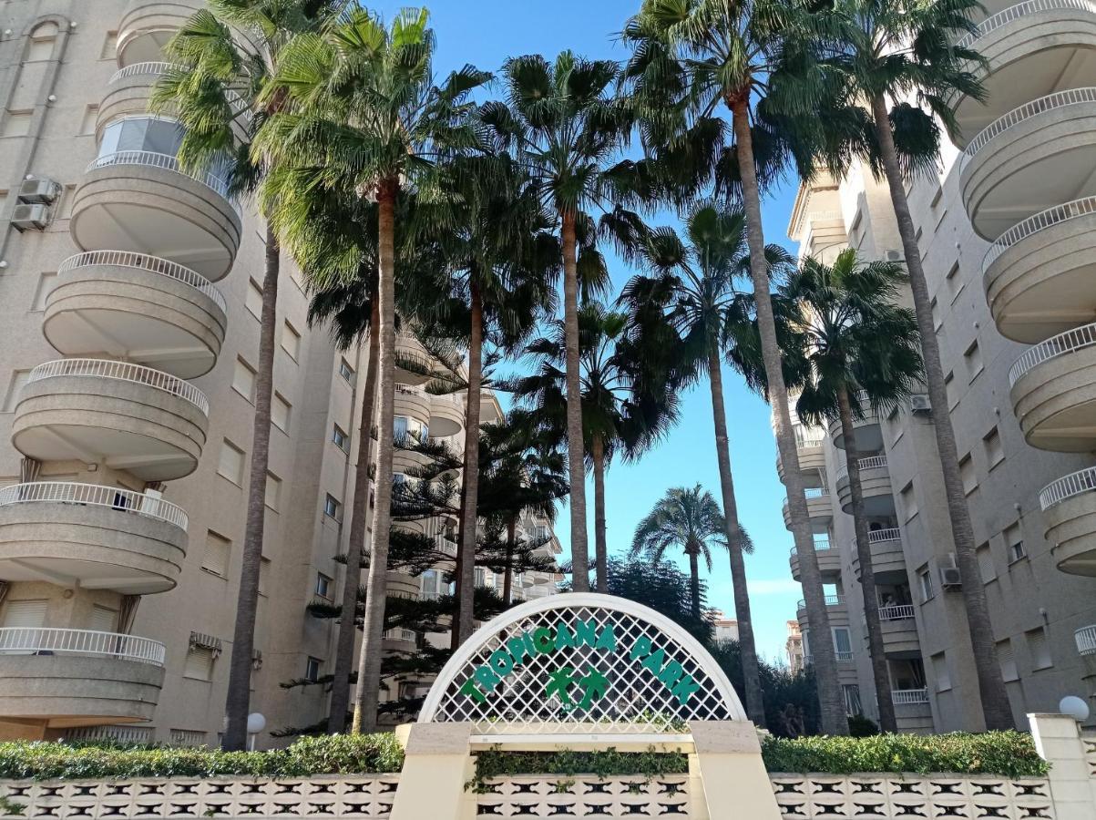 Tropicana Park Solo Familias Serviplaya Гандия Экстерьер фото